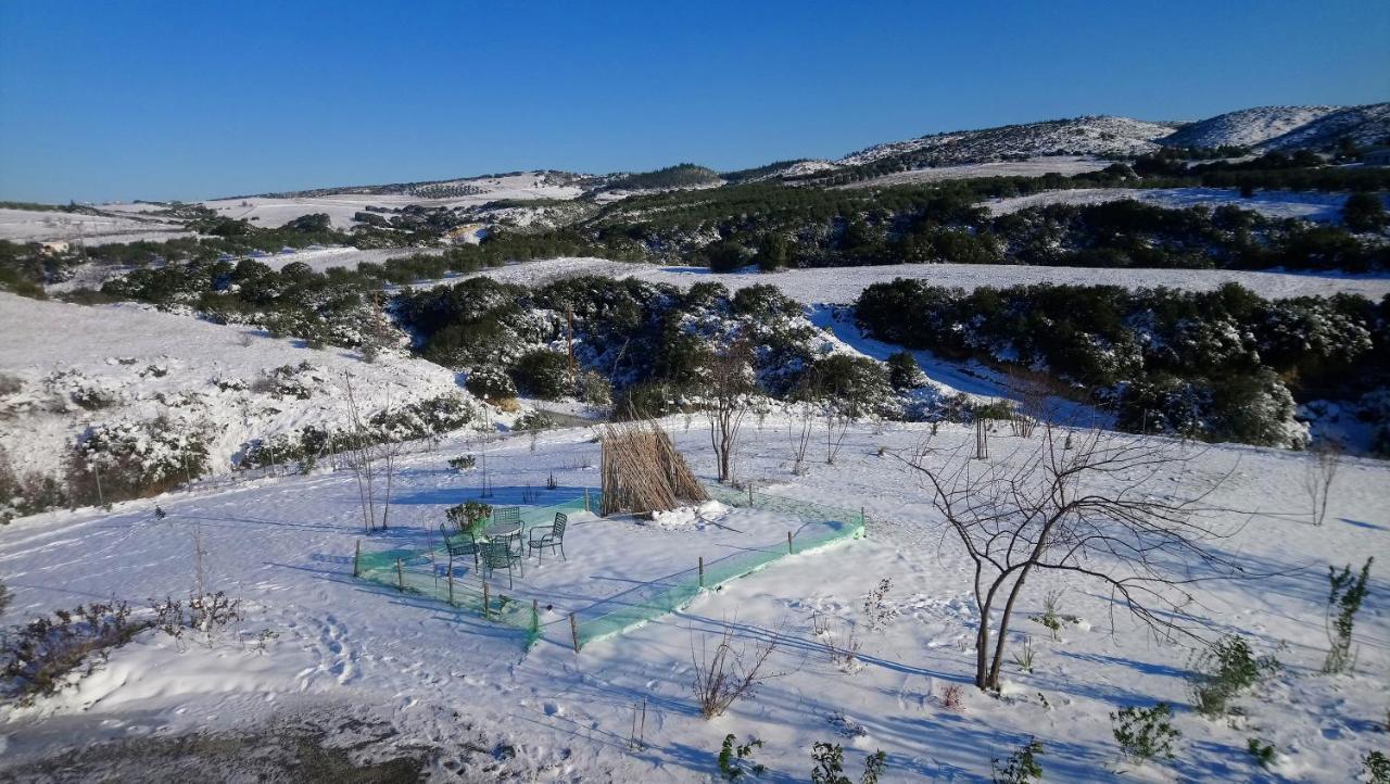 Daniil'S Luxury Villa And Spa Agios Antonios  Eksteriør bilde